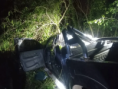 Corrientes: un adolescente murió tras estrellarse una camioneta contra un árbol